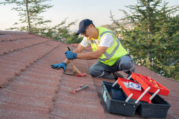 Roof Gutter Cleaning in Fountain Valley, CA